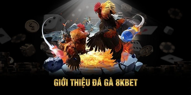 Giới thiệu tổng quan đá gà 8kbet
